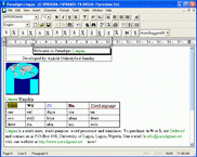 Paradigm Lingua <b>MultiUser</b>