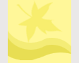 Yellow <b>Pack</b> <b>HTML <b>Template</b> Package</b>