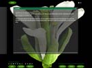 Peacenik Flash Template